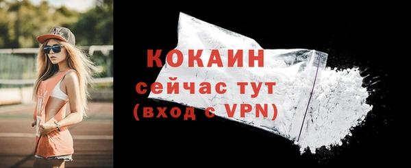 стаф Волоколамск