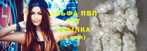 стаф Волоколамск